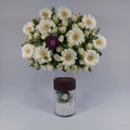 Pure White(Flower)